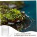 BESPORTBLE Pet Water Feeder Ant Keeping Ant Watering Cup Ant Feeding Cup Ant Bottle Feeder Ant Watering Station Ant Waterer for Garden Ant Cups Water for Ant Garden Ants Feeding Device - Buy Online on SooperMarket.com