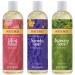 Burt's Bees Body Wash - Rosemary Lemon Lavender & Honey 12 Fl Oz - Buy Online on SooperMarket.com