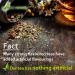 Wormwood Herbal Tea - Artemisia Absinthium | Pure Natural Herbal Tea Grown in Europe (20 Tea Bags 40g) - Buy Online on SooperMarket.com