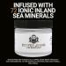 Natural Beard Balm for Men - Medium to Firm Hold Moisture Seal with Shea Butter & Jojoba Oil - The Hunt (Unscented) - 2 oz - Buy Online on SooperMarket.com