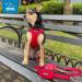 Voyager Step-In Air Dog Harness - All Weather Mesh for Small & Medium Dogs - Buy Online on SooperMarket.com