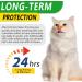 Natural Antibiotics for Cats 2 PCS Cat Antibiotics- Cat Multivitamin is anti-bacterial effect antibiotics for cats Supports Immune & Cats Allergy Relief Health Supplies Cats UTI Antibiotics(60ml) - Buy Online on SooperMarket.com