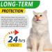 Natural Antibiotics for Cats | 2 Fl Oz Pet Supplements | Multivitamin & Allergy Itch Relief - Chicken Flavor - Buy Online on SooperMarket.com