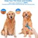 ChezMax Dog Deshedding Brush | Undercoat Rake & Dematting Comb for Dogs | Double Sided Shedding & Grooming Tool | Blue - Buy Online on SooperMarket.com