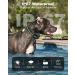 Dog Training Collar with 3300Ft Remote Range 3 Training Modes Sound/Vibration/Strong Vibration Security Lock IP67 Waterproof & Rechargeable Anti Barking Collar for Large Medium Small Dogs (GREEN) - Buy Online on SooperMarket.com