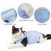 Cat Recovery Suit Cat Professional Recovery Suit for Abdominal Wounds or Skin Diseases After Surgery E-Collar Alternative for Cats Anti Licking Pajama Suit Kittesn Surgery Recovery Suit(Blue L Size) - Buy Online on SooperMarket.com