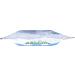 Charlie's Soap Biodegradable Oxygen Bleach 1.3 lbs - 2 Pack - Buy Online on SooperMarket.com