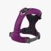 DOG Copenhagen Dog Harness V2 Comfort Walk Pro - Purple Passion XL | Premium Comfortable Dog Harness for Large Breeds - Buy Online on SooperMarket.com