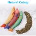 Osdue Cat Mint Toys - 3 Plush Fish Toys for Cats & Kittens | Dental Chew & Simulation Fish | International Shipping - Buy Online on SooperMarket.com