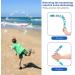 Inborntrait Kids Boomerang - Handmade Wooden V-Shaped Returning Boomerang - Blue Sky Blue - Buy Online on SooperMarket.com