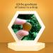 Honibe Honey Drops | 100% Pure Honey | Solid Honey Sweetener | Soothes Sore Throat | Pack of 12 20 Drops per Pack (240 Drops) - Buy Online on SooperMarket.com
