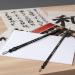 3 Pieces Traditional Chinese Calligraphy Brush Set for Beginner Watercolor Painting - Sumi Drawing Pens in 3 Sizes - Buy Online on SooperMarket.com