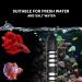 100W Submersible Aquarium Heater with Dual Temperature Displays - Ideal for Fish Tanks, Turtles, and Betta Fish - Buy Online on SooperMarket.com