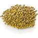 Old India Mung Large 2kg - Premium Quality Mung Beans for Cooking and Sprouting - Buy Online on SooperMarket.com