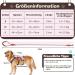 Multi-Purpose Dog Harness & Leash Set - Outbreak-Proof Anti-Train Safety Harness for Small & Medium Dogs (Pink M) - Buy Online on SooperMarket.com
