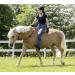 USG 15200002 Adjustable Neck Ring - Round Black/Beige for Equestrian Use | International Shipping Available - Buy Online on SooperMarket.com