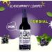 Mr Fitzpatricks Cordial Pick N Mix - Choose From Bottle with 12 Flavours - Sarsaparilla Strawberry & Kiwi Sour Cherry Grape & Hibiscus Blackcurrant & Liquorice and Many more - Pack of 2 x 500ml 500 ml (Pack of 2) - Buy Online on SooperMarket.com