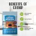 BUDDY'S BEST Catnip | 100% Natural Organic & Air Dried | Strong & Pungent Aroma Encourages Exercise & Play | 35g - Buy Online on SooperMarket.com