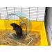Savic Rolly Giant + Stand Exercise Wheel Dia 27 5 Cm - Buy Online on SooperMarket.com