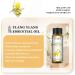 EUQEE Ylang Ylang Oil 10ml - Pure Natural Aromatherapy Essential Oil for Home Relaxation | Diffuser & Humidifier Use - 10.00 ml (Pack of 1) - Buy Online on SooperMarket.com