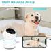 PAPIFEED 1080P Pet Camera Indoor Security Cam | 5Ghz WiFi | Two-Way Audio | Night Vision | Motion Detection | Alexa & Google Assistant Compatible - Buy Online on SooperMarket.com