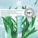 Yves Rocher HYDRA V G TAL Eye Care Gel Cream - Moisturizes Reduces Dark Circles & Puffiness | 15ml Tube - International Shipping Available - Buy Online on SooperMarket.com