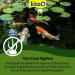 Tetra Pond AlgoFree - 3L Floating Algae Killer for Garden Ponds | Combat Green Water & Filamentous Algae - Buy Online on SooperMarket.com