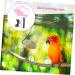 Beavorty 4 Sets Bird Leash Suspend Bird Training Bird Flying Harness Bird Harness Leashes Vest Clothing 12X6X1.3CMx4pcs Pinkx4pcs - Buy Online on SooperMarket.com