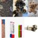 200 Mini Elastic Hair Ties for Girls - Perfect for Braids Dreadlocks & Weddings - Black Hair Accessories - Buy Online on SooperMarket.com