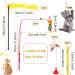 QUOZUO Cat Toys Kitten Toys Assortments 32 Packs Interactive Cat Toy Variety Pack for Kitty Cat Wand toy Cat Crinkle Balls with Bells Cat Spring Toy Catnip Toys for Indoor Cats Kittens - Buy Online on SooperMarket.com