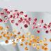 50Pcs 3D Flower Nail Multi Colors Variety Mix Camellia Flower Cute Nail Art For Manicure DIY Craft Jewelry 3d Nail For Acrylic Nails Multi-Color - Buy Online on SooperMarket.com
