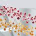 50Pcs Camellia 3D Flowers For Nails 3D For Art Bow For Nails Jewelry Trendy - Buy Online on SooperMarket.com