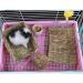 REFURBISHHOUSEÂ Rabbit Mat Grass Mats For Rabbits Safe & Edible Rabbit Mats For Cages Bunny Chew Toys For Rabbits - Buy Online on SooperMarket.com