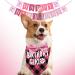 Dog Birthday Kit Dog Birthday Hat Bow Tie Band Pull Flag Scarf Number Stickers Cute Puppy Kitten Party Kit Reusable Suitable for Small Medium and Large Dog Pets(pink) - Buy Online on SooperMarket.com