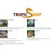Premium Tropic Shop Sepia Shell Pack - 100% Pure Calcium Supply for Reptiles & Birds | 6-12 Pieces (100g) - Health-Promoting Minerals - Buy Online on SooperMarket.com