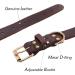 Tagme Personalized Leather Dog Collar for Medium & Large Dogs - Custom Engraved Name & Phone Number - Brown (L) - Durable & Stylish - Buy Online on SooperMarket.com