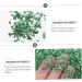 FOYTOKI 1 Glass Chip Shiny Nail Stickers Manicure Charm Glass Charms Filling DIY Epoxy Filling DIY Nail Art Crushed Glass Epoxy Charms Nail Art Rhinestones Irregular Glass Epoxy Fillers 0.5X0.3cm Green - Buy Online on SooperMarket.com