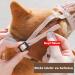 Ridong Adjustable Muzzle for Small & Medium Dogs - Prevents Biting Chewing & Barking | Breathable & Safe - Buy Online on SooperMarket.com