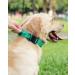 Joytale Tactical Dog Collar | Durable Dog Collar with Handle for Large Dogs | XL Turquoise with QR Code Dog Tag - International Shipping Available - Buy Online on SooperMarket.com