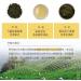 Taiwan Unique Tea Lishan Malieba Cold Sweet Thick Oolong Tea 75g*4 - Buy Online on SooperMarket.com