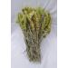 CHEFS&CO Mountain Tea (Sideritis scardica) | Loose Tea | Whole with Stems Leaves & Flowers | Handpicked | Strong Aroma | Antioxidant | Rich in Flavonoids & Essential Oils (NATURAL 80g (Pack of 1)) NATURAL 80g (Pack of 1) - Buy Online on SooperMarket.com