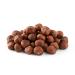 NUTS U.S. - Oregon Hazelnuts (Filberts) | Raw and Unsalted | Steam Pasteurized and NON-GMO | No Shell - Just Kernels in Bulk | JUMBO SIZE | Packed in Resealable Bags!!! (10 LB)