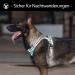 POPOT No-Pull Dog Harness - Reflective Pet Vest for Daily Training & Walking - Mint Blue (L) - Buy Online on SooperMarket.com