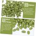 HOMSFOU 2 Packs Simulated Green Beans Artificial Vegetables Props Faux Soybean Simulated Bean Model Dollhouse Food Miniature Gourmet Nuts Photo Props Food Play Pvc Accessories Greenx2pcs 1.6X1CMx2pcs - Buy Online on SooperMarket.com