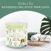 Magnificent 101 Aromatherapy Candles - Pure Sage 14 oz Soy Wax | 56 Hours Burn Time | Natural Energy Cleansing & Manifestation - Buy Online on SooperMarket.com