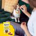TEMPTATIONS MEATY BITES Cat Treats Adult Chicken 42.5g Pouch (7 Pack) - Buy Online on SooperMarket.com
