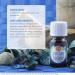 Good Sleep Blend Essential Oil - 10ml | 100% Pure Therapeutic Grade for Deep Sleep - Buy Online on SooperMarket.com