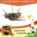 128 oz Natural Bug and Insect Killer for Indoor and Outdoor Use - Flea, Tick, Ant, Spider, Bed Bug, Dust Mite, Roach Control with Trigger Sprayer - 1 Gallon - Buy Online on SooperMarket.com