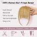 RUWISS Ash Blonde Clip in Human Hair Fringe Extensions - Wispy Bangs for Women - Daily Wear Hairpieces - Buy Online on SooperMarket.com