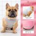 KYEESE 2 Pack Striped Dog Shirts - Soft Cotton Tank Top for Dogs - Sleeveless Cat Shirts - 16 Chest - 2Pack (Striped+Pink) - Buy Online on SooperMarket.com